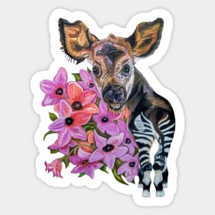 Baby Okapi Sticker